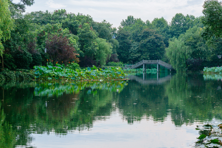 View of landscape with trees and bridge and reflections in water near West Lake, Hangzhou, Chinaの写真素材