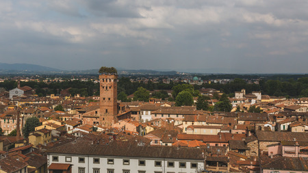 Guinigi tower over houses of historic centre of Lucca, Tuscany, Italyの写真素材