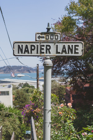 Street sign of Napier Lane along Filbert Street Stairs by Telegraph Hills in San Francisco, USAの写真素材