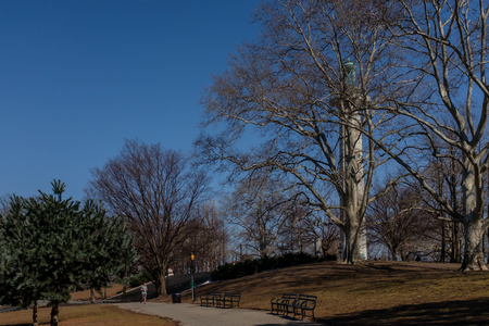 New York City, USA - March 11, 2019: Man jogging on path in Fort Greene Park in Brooklynのeditorial素材