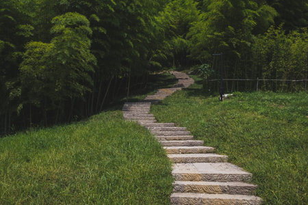 Landscape around Archaeological Ruins of Liangzhu City, in Hangzhou, China