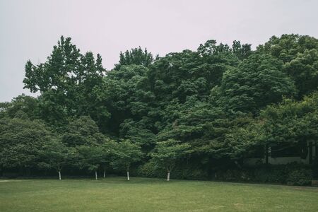 Lawn and trees in park near West Lake, in Hangzhou, Chinaの写真素材