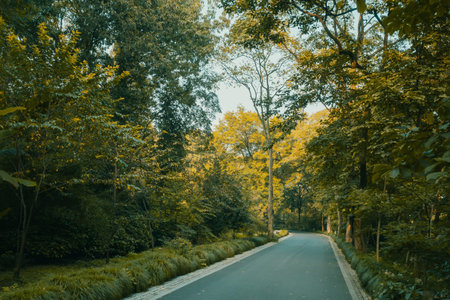 Road in forest near Hangzhou Botanical Garden in Hangzhou, Zhejiang, China
