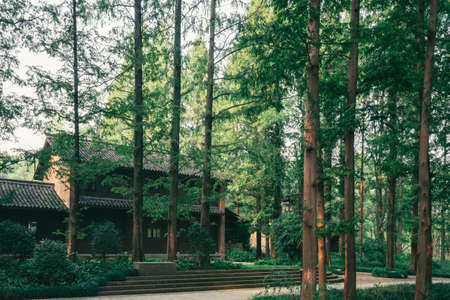 Path leading to house in woods near Hangzhou Botanical Garden in Hangzhou, Zhejiang, Chinaのeditorial素材