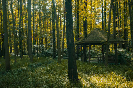 Hut in woods in West Lake scenic area in Hangzhou, Chinaの写真素材