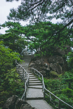 Footpath among trees on top of Wugong Mountain in Jiangxi, Chinaの写真素材