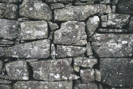 Grey rock wall texture with white spots