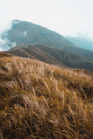 Grassland on mountain ridge covered in clouds on top of Wugong Mountain in Jiangxi, Chinaの写真素材