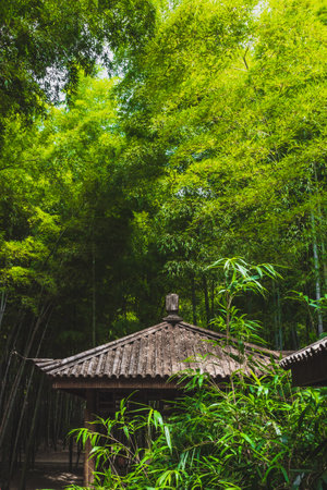 Traditional house in bamboo forest on Tiger Hill (Huqiu) in Suzhou, Jiangsu, Chinaの写真素材