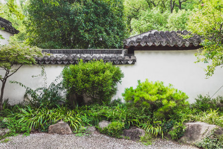 Plants in front of white wall  on Tiger Hill (Huqiu) in Suzhou, Jiangsu, Chinaの写真素材