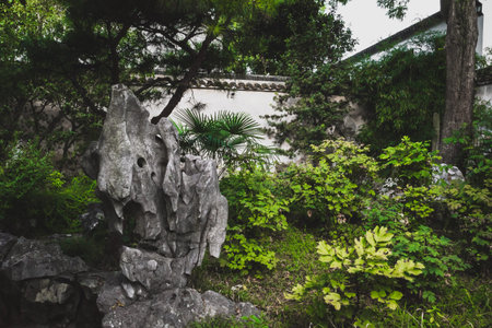 Giant rocks and trees at Lingering Garden Scenic Area in Suzhou, Jiangsu, Chinaのeditorial素材