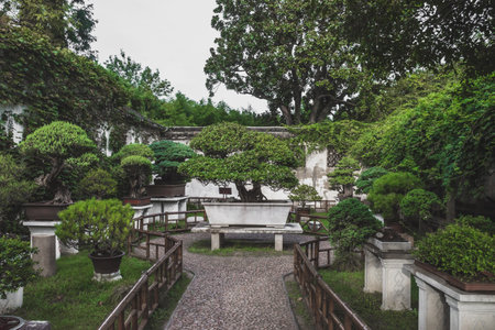 Plants in garden at Lingering Garden Scenic Area in Suzhou, Jiangsu, Chinaのeditorial素材