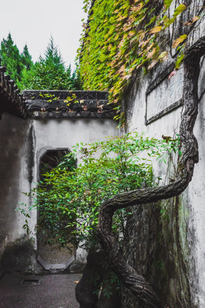 Narrow doorway behind trees at Lingering Garden Scenic Area in Suzhou, Jiangsu, Chinaのeditorial素材