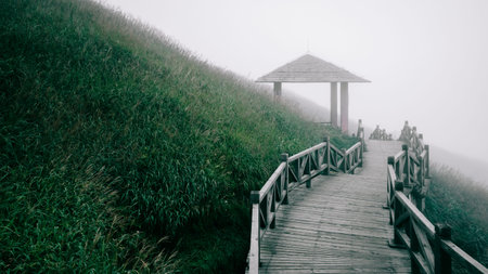 Wooden plank path between meadow covered in fog on top of Wugong Mountain (Wugongshan) in Jiangxi,...