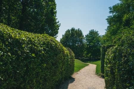 Path between trees in Park of Vergini in Venice, Italyの写真素材