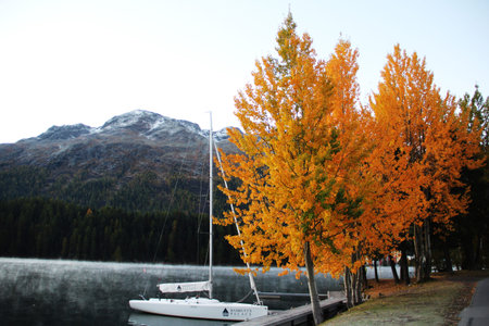 Lake view during autumn