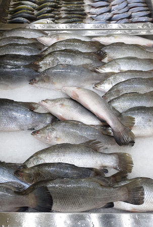 Seabass waiting to be chosen