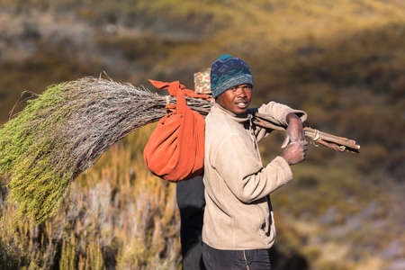 African man carries wood dry seasonのeditorial素材