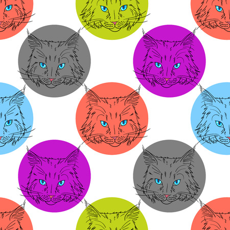 Maine coon cat portrait. Hand drawn vector illustration. Pet seamless pattern backgroundのイラスト素材