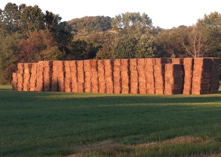 Hay Bales in Rural Pennsylvania by Heather Fox