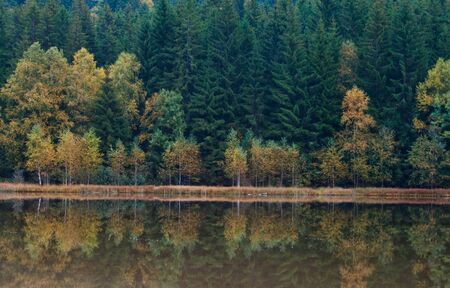 Autumn landscape at Saint Anna Lake which is located in a volcanic crate from Romaniaの写真素材