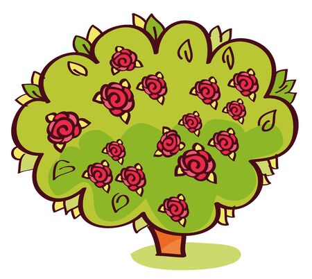 a beautiful garden bush rosesのイラスト素材