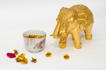 Souvenir elephant of Thailandの写真素材