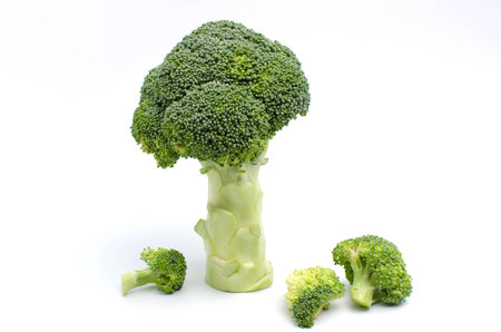 Fresh broccoli on white backgroundの写真素材