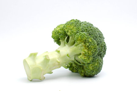 Fresh broccoli on white backgroundの写真素材