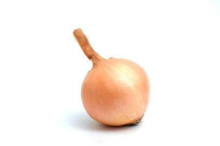 onion bulbs is vegetable organic food ingredients Can be used for cooking.の写真素材