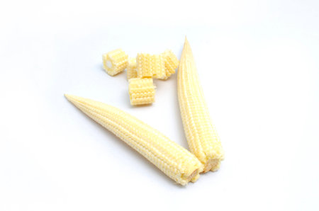 Baby Cornis vegetable organic food ingredients Can be used for cooking.の写真素材