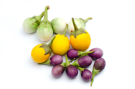 Various Eggplant is vegetable organic food ingredients Can be used for cooking.の写真素材