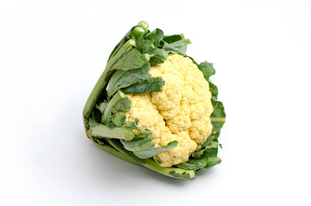 Cauliflower is vegetable organic food ingredients Can be used for cooking.の写真素材