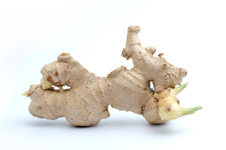 Ginger is vegetable organic food ingredients Can be used for cooking.