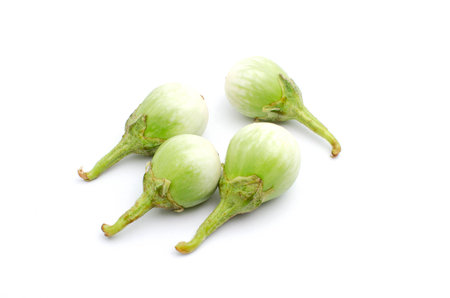 Growing Green Eggplant is vegetable organic food ingredients Can be used for cooking.の写真素材