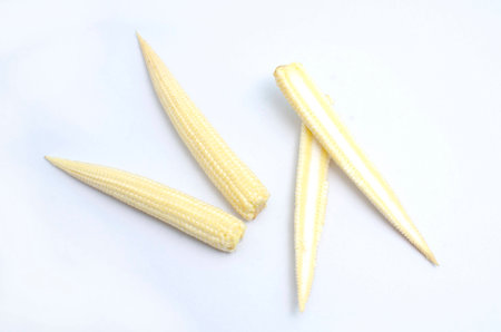 Baby Cornis vegetable organic food ingredients Can be used for cooking.の写真素材