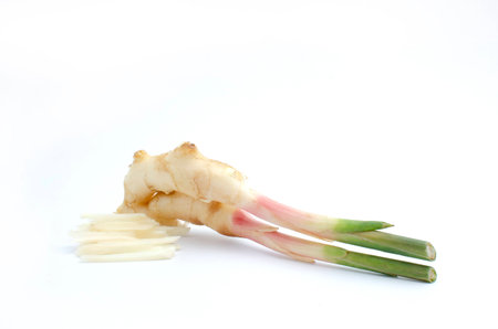 Baby Ginger is vegetable organic food ingredients Can be used for cooking.の写真素材
