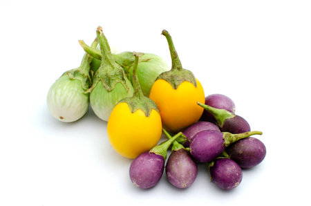 Various Eggplant is vegetable organic food ingredients Can be used for cooking.の写真素材