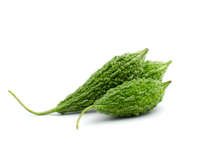 Bitter Gourd (Karela) is vegetable organic food ingredients Can be used for cooking.の写真素材