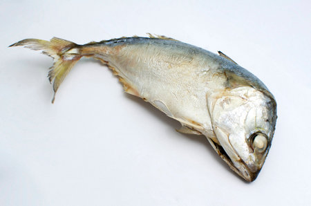 Mackerel is food ingredients Can be used for cooking.の写真素材