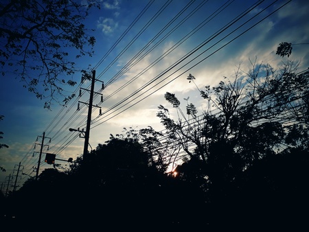 silhouette tree and electric pole against blue sky