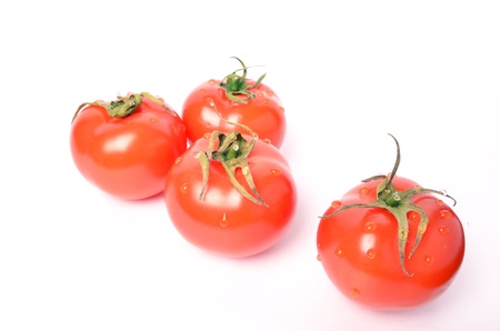 juicy tomatoes on white backgroundの写真素材