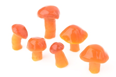 mushrooms on a white backgroundの写真素材