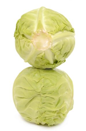 Cabbage on a white backgroundの写真素材