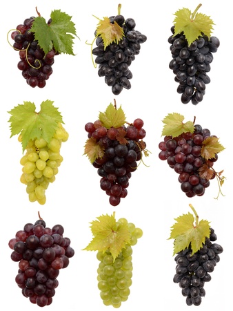 Juicy Grapes on white backgroundの写真素材
