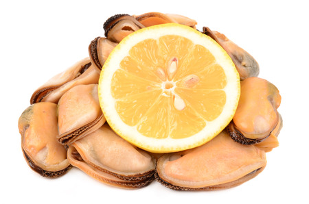 mussels on a white backgroundの写真素材