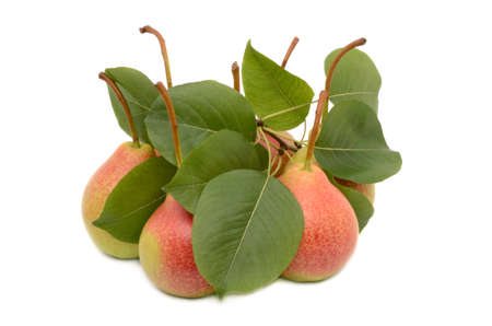 Pears on a white backgroundの写真素材