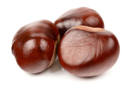 Chestnuts on a white backgroundの写真素材