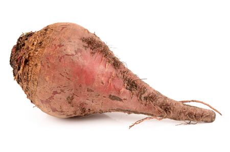 Beets on a white backgroundの写真素材