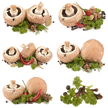 Fresh and useful mushrooms isolated on white backgroundの写真素材